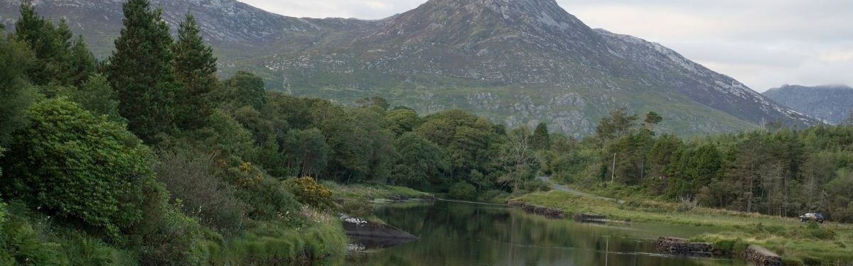 bloggalway.jpg (BlogGalway) bloggalway