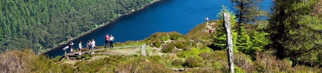 walk_wic.jpg (WALK_WIC) walk wic